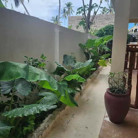 Two Palms Hotel Jambiani  Exterior photo
